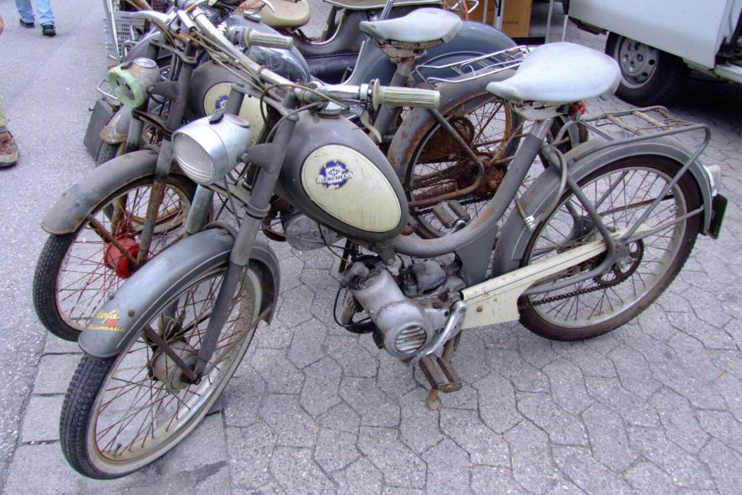 «SACHS» | mofakult